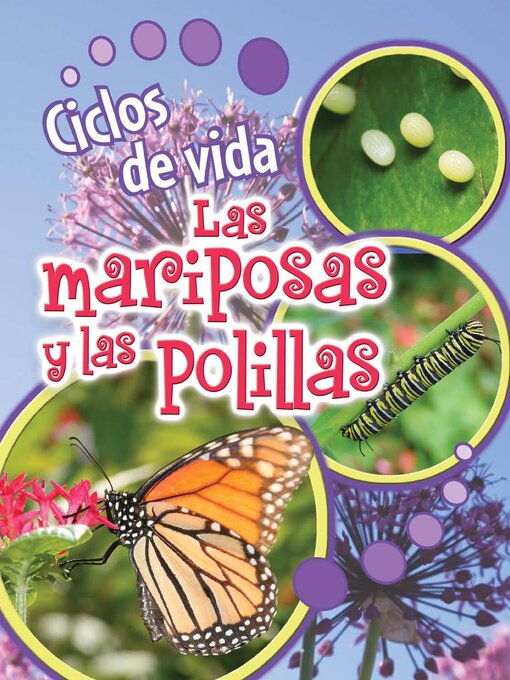 Cover image for Ciclos de vida de las mariposas y las polillas (Life Cycles of Butterflies and Moths)
